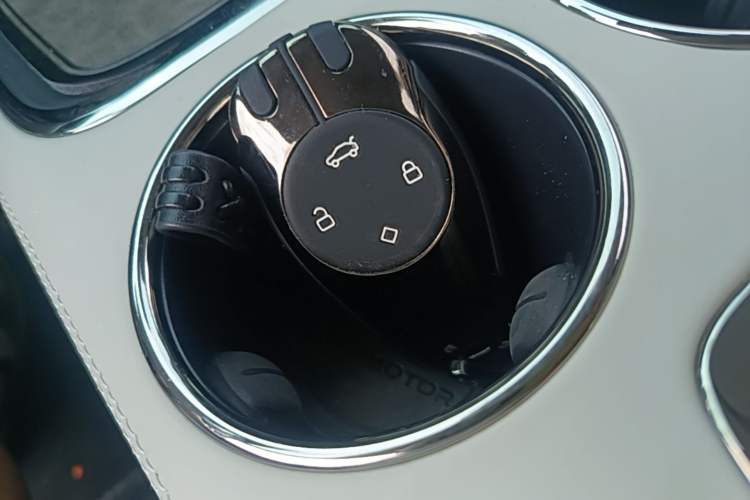 Used Leapmotor C11 2021 Deluxe Edition Vehicle Key