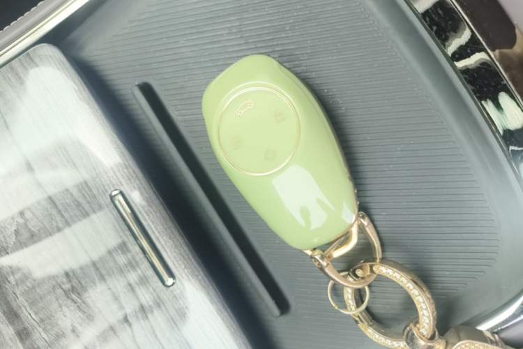 Used Leapmotor C11 2021 Luxury Edition Vehicle Key