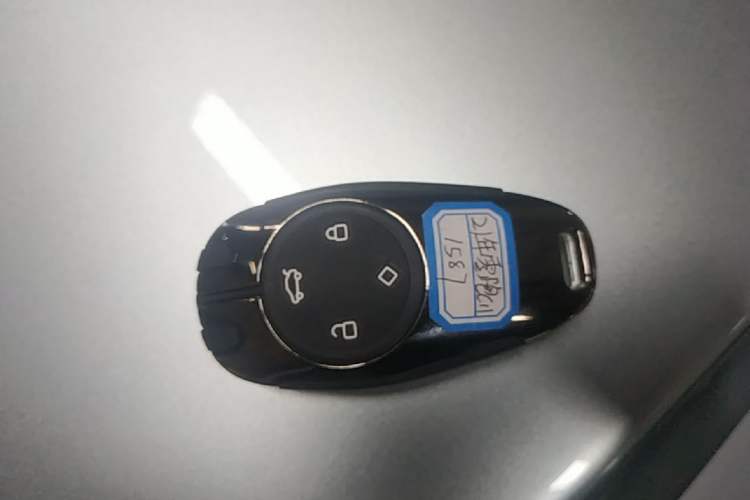Used Leapmotor C11 2021 Deluxe Edition Vehicle Key