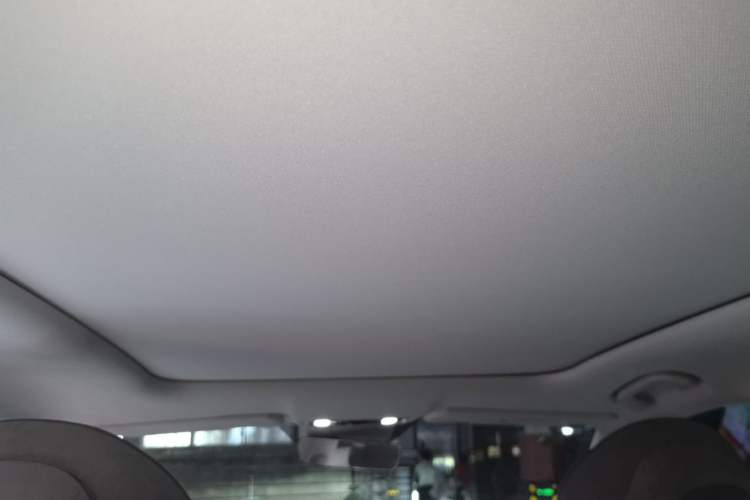 Used Leapmotor C11 2021 Revised Version Luxury Edition Headliner