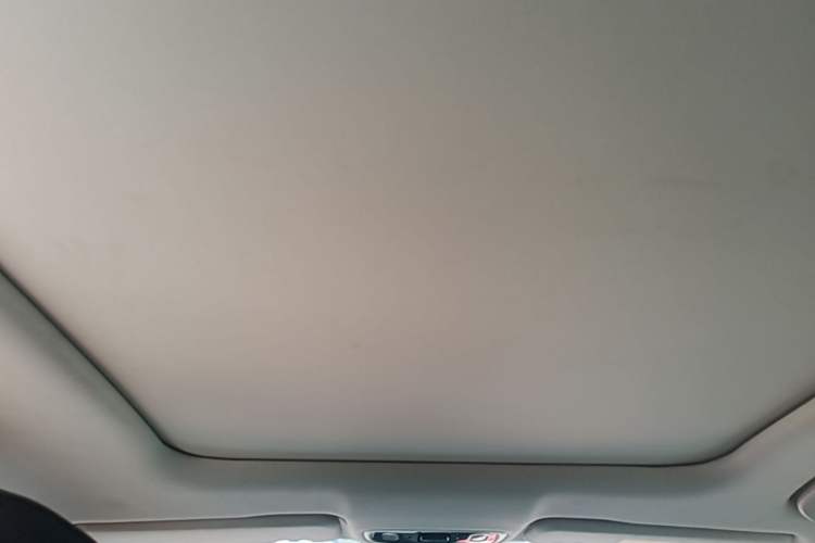 Used Leapmotor C11 2021 Luxury Edition Headliner