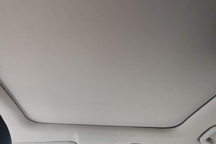 Used Leapmotor C11 2021 Performance Edition Headliner