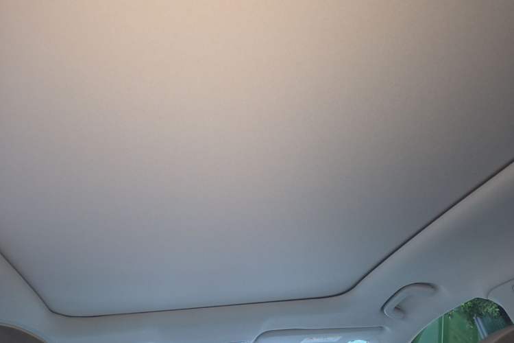 Used Leapmotor C11 2021 Luxury Edition Headliner