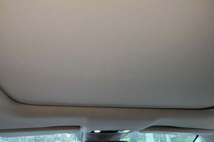Used Leapmotor C11 2021 Luxury Edition Headliner