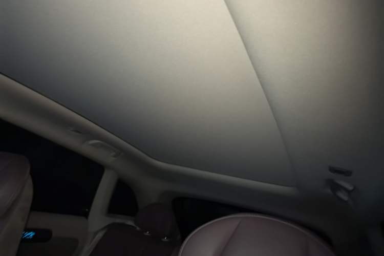Used Leapmotor C11 2021 Revised Version Luxury Edition Headliner