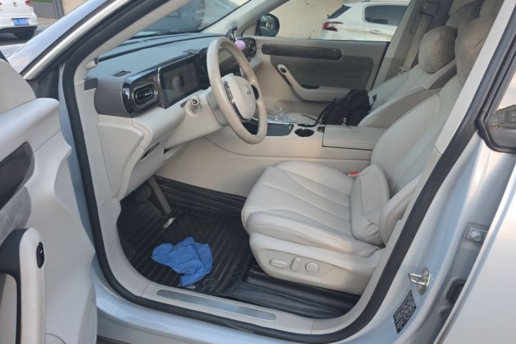 Used Leapmotor C11 2021 Luxury Edition Left Front Seat