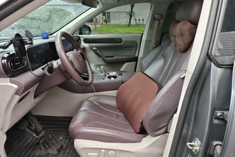 Used Leapmotor C11 2021 Luxury Edition Left Front Seat