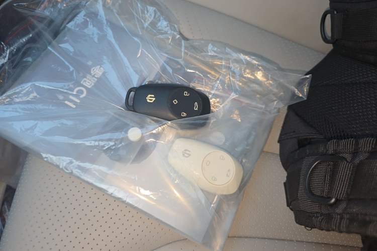 Used Leapmotor C11 2021 Luxury Edition Vehicle Key
