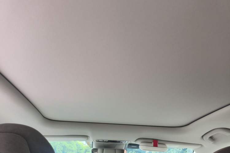 Used Leapmotor C11 2021 Revised Version Luxury Edition Headliner
