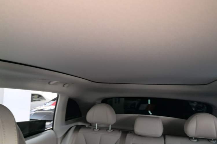 Used Leapmotor C11 2021 Executive Edition 610 Headliner