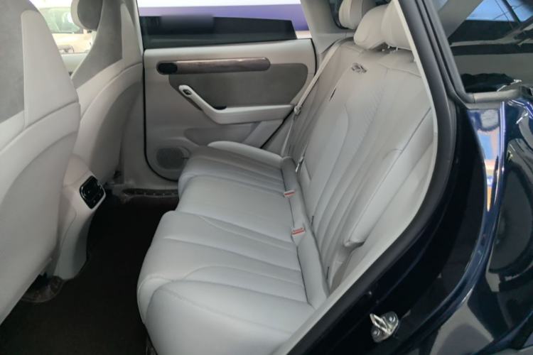 Used Leapmotor C11 2021 Executive Edition 610 Left Rear Seat