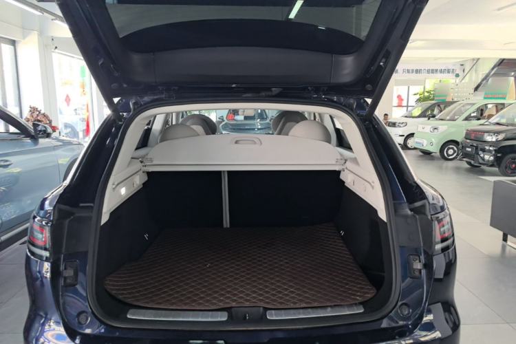 Used Leapmotor C11 2021 Executive Edition 610 Trunk