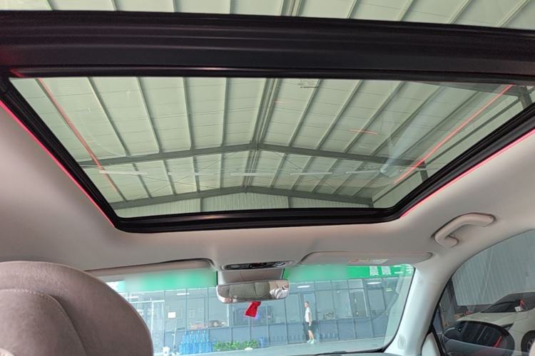 Used Leapmotor C11 2021 Luxury Edition Headliner