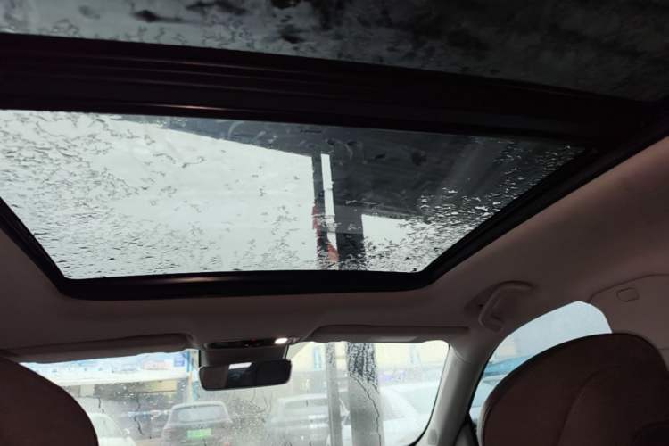 Used Leapmotor C11 2021 Luxury Edition Headliner