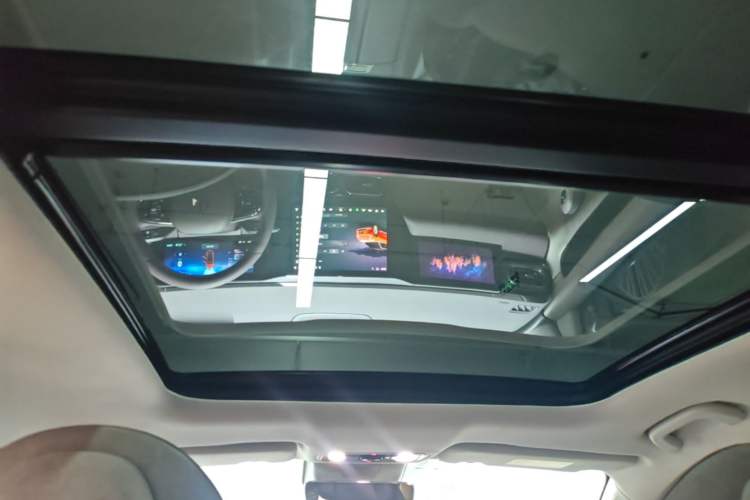 Used Leapmotor C11 2021 Performance Edition Headliner