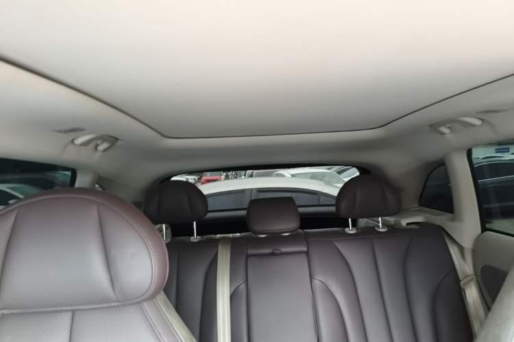 Used Leapmotor C11 2021 Performance Edition Headliner