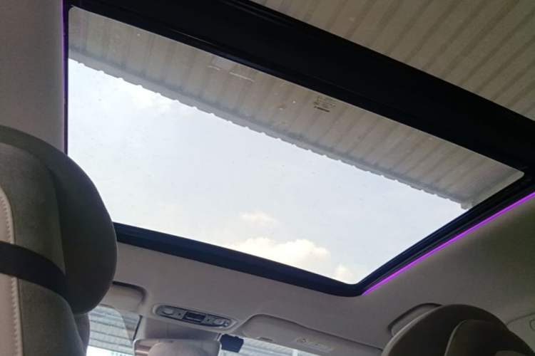 Used Leapmotor C11 2021 Luxury Edition Headliner