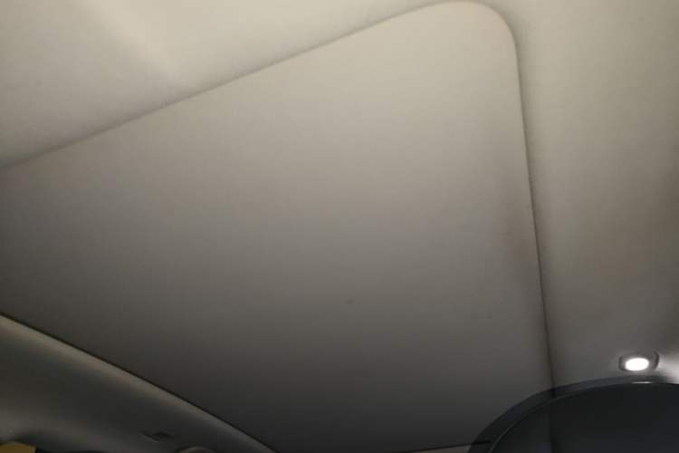 Used Leapmotor C11 2021 Luxury Edition Headliner