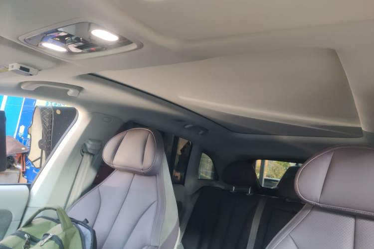 Used Leapmotor C11 2021 Luxury Edition Headliner