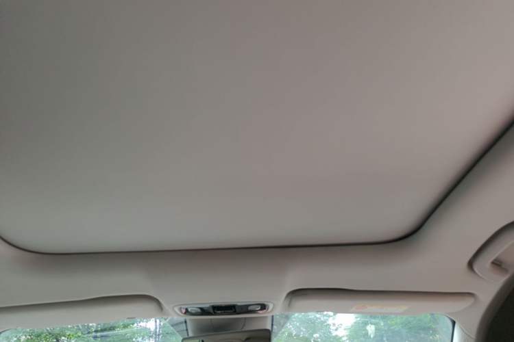 Used Leapmotor C11 2021 Luxury Edition Headliner