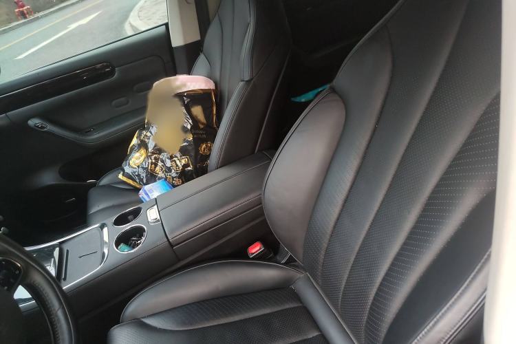 Used Leapmotor C11 2021 Luxury Edition Left Front Seat
