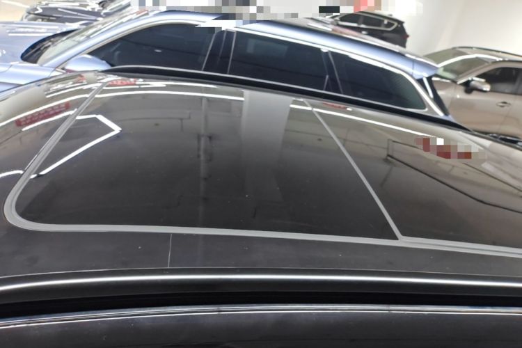 Used Leapmotor C11 2021 Performance Edition Roof