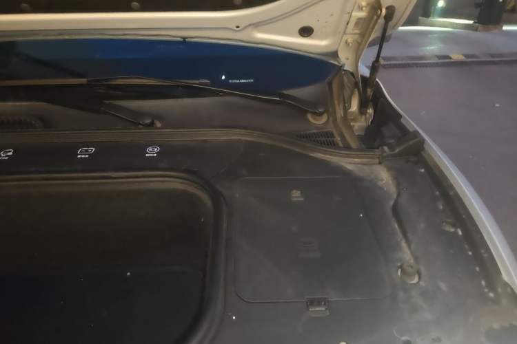 Used Leapmotor C11 2021 Luxury Edition Engine Bay Left