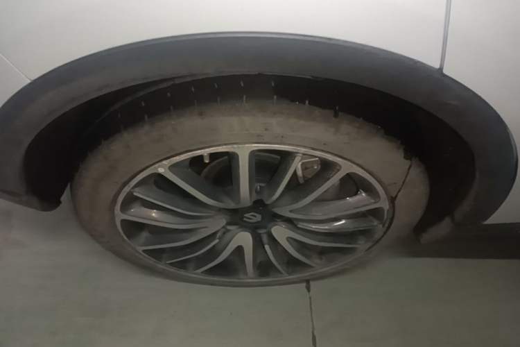 Used Leapmotor C11 2021 Performance Edition Exterior 5
