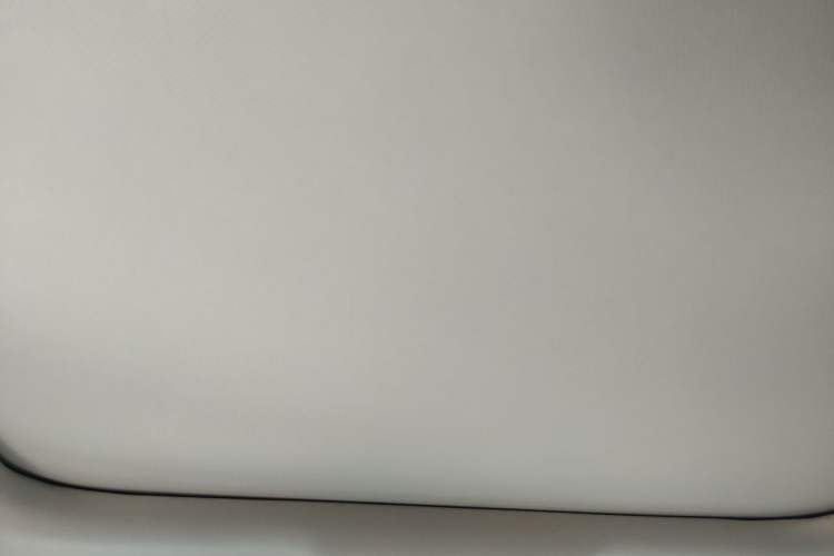Used Leapmotor C11 2021 Luxury Edition Headliner