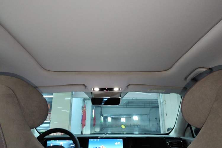 Used Leapmotor C11 2021 Revised Version Luxury Edition Headliner