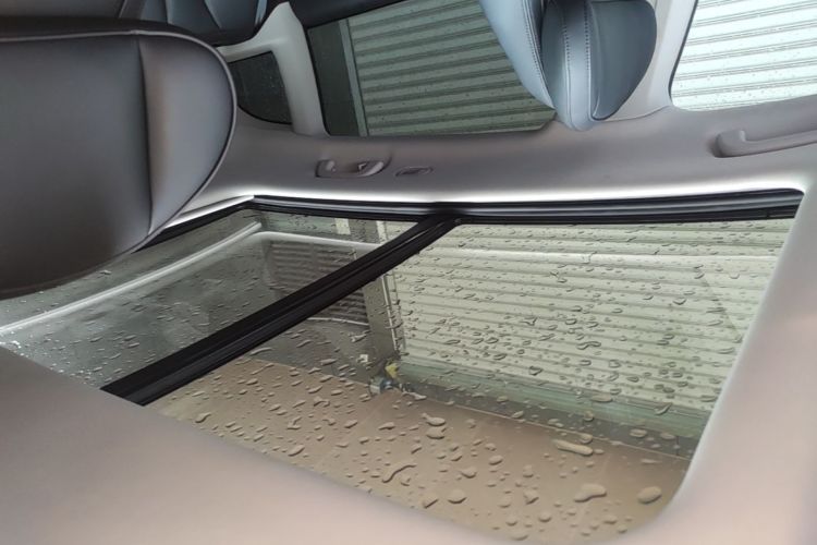Used Leapmotor C11 2021 Luxury Edition Headliner
