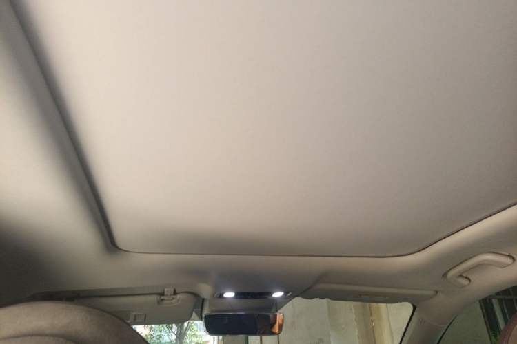 Used Leapmotor C11 2021 Revised Version Luxury Edition Headliner