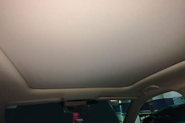 Used Leapmotor C11 2021 Deluxe Edition Headliner