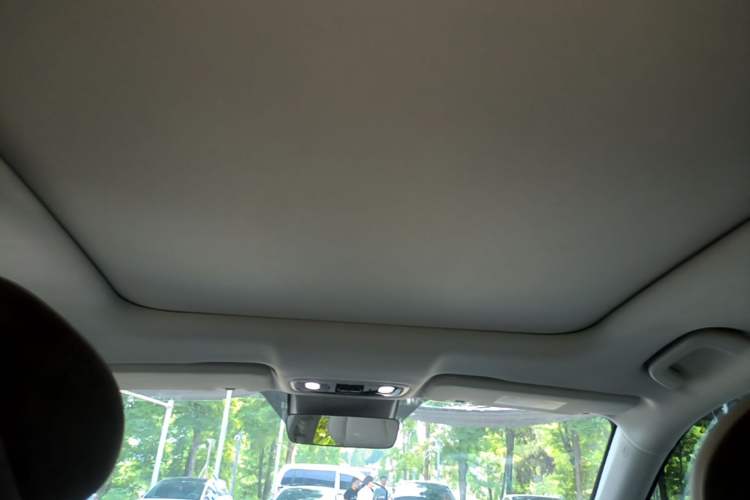Used Leapmotor C11 2021 Luxury Edition Headliner