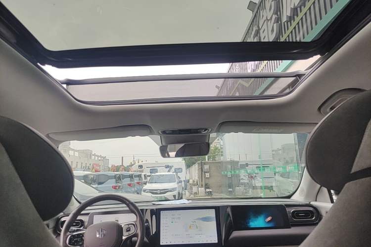 Used Leapmotor C11 2021 Deluxe Edition Headliner
