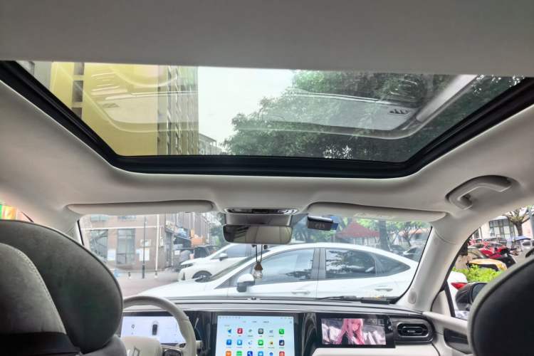 Used Leapmotor C11 2021 Performance Edition Headliner