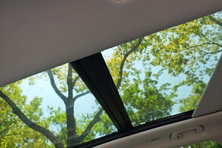 Used Leapmotor C11 2021 Luxury Edition Headliner