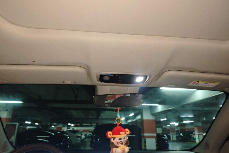 Used Leapmotor C11 2021 Luxury Edition Headliner