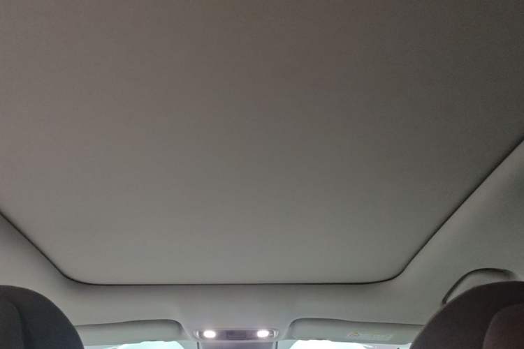 Used Leapmotor C11 2021 Executive Edition 610 Headliner