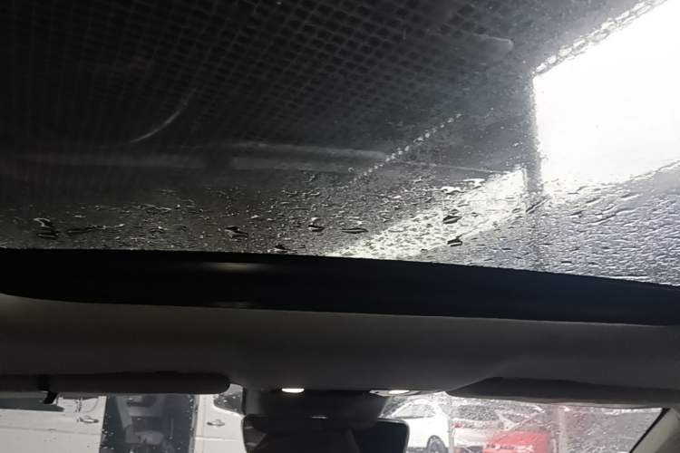 Used Leapmotor C11 2021 Deluxe Edition Headliner