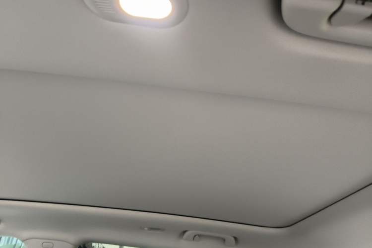 Used Leapmotor C11 2021 Revised Version Luxury Edition Headliner