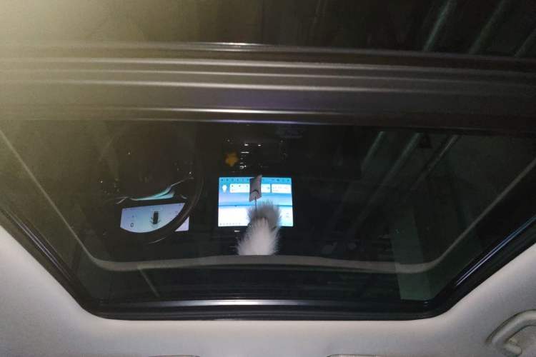 Used Leapmotor C11 2021 Revised Version Luxury Edition Headliner