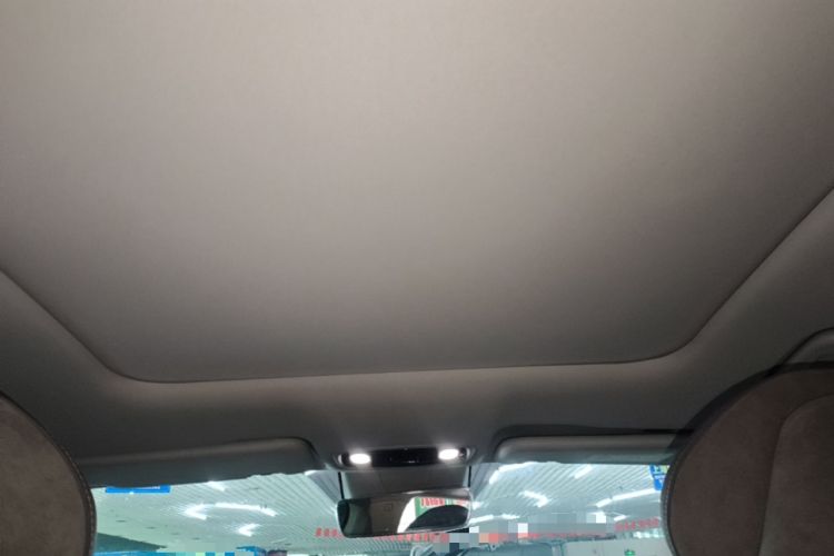 Used Leapmotor C11 2021 Deluxe Edition Headliner
