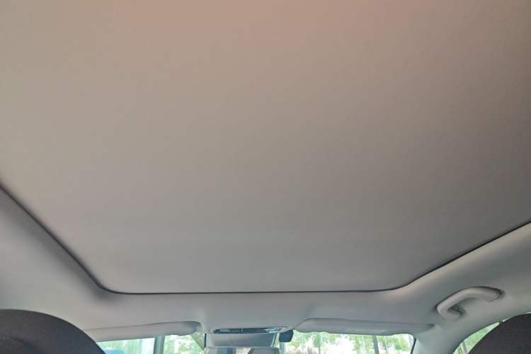 Used Leapmotor C11 2021 Zhixing Edition 510 Headliner