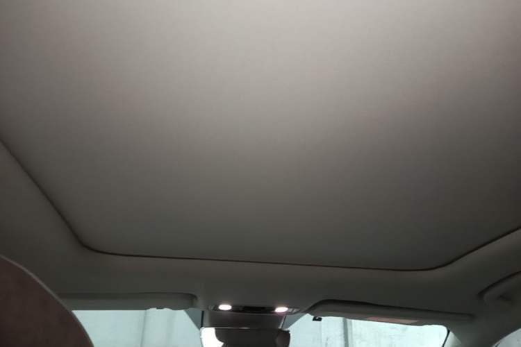 Used Leapmotor C11 2021 Luxury Edition Headliner