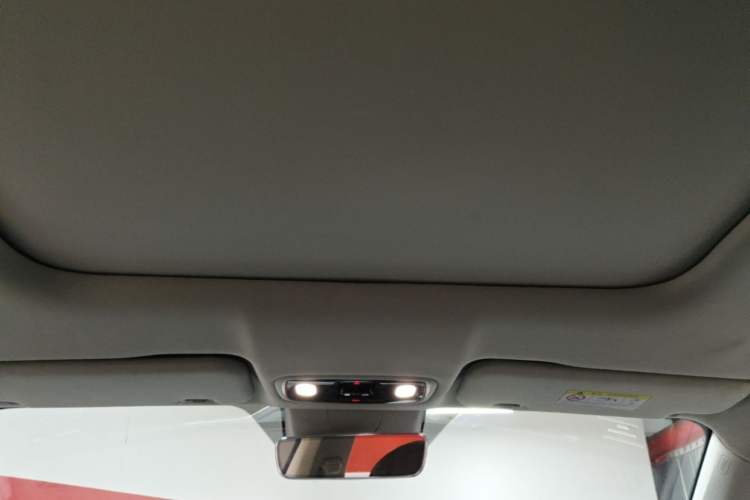 Used Leapmotor C11 2021 Deluxe Edition Headliner
