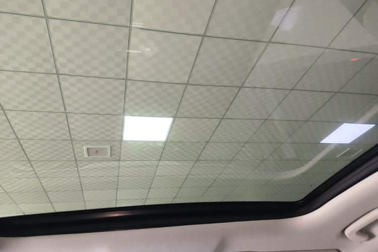 Used Leapmotor C11 2021 Luxury Edition Headliner