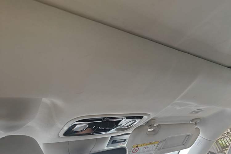 Used Leapmotor C11 2021 Revised Version Luxury Edition Headliner