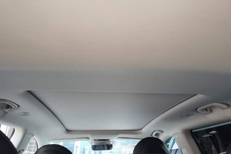 Used Leapmotor C11 2021 Deluxe Edition Headliner