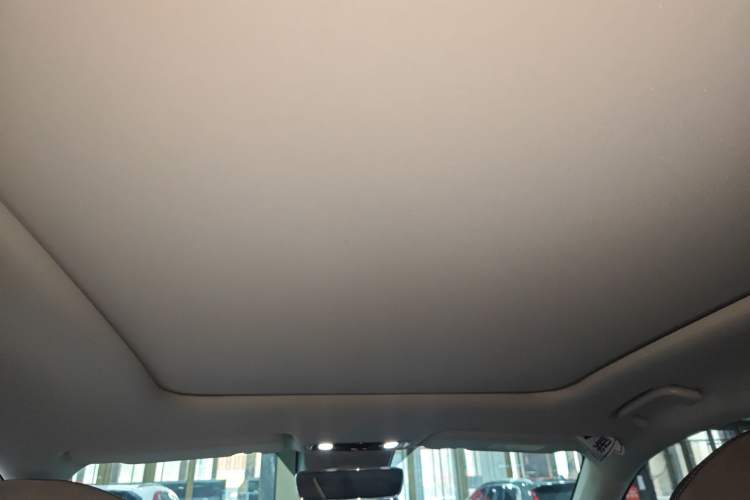 Used Leapmotor C11 2021 Zhixing Edition 510 Headliner